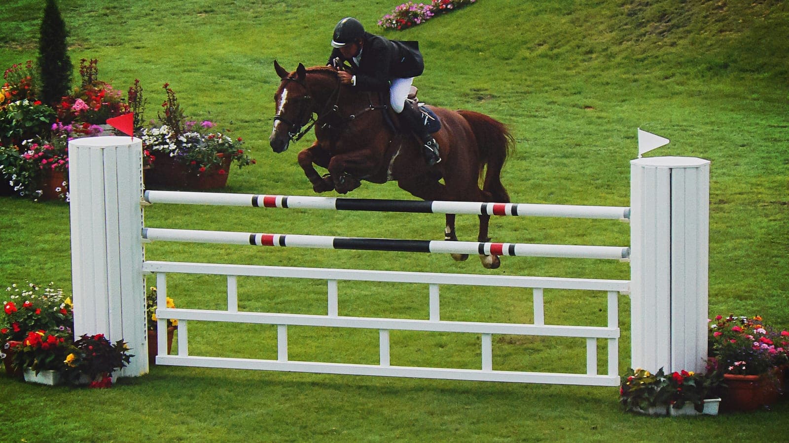 Grass Jump Field